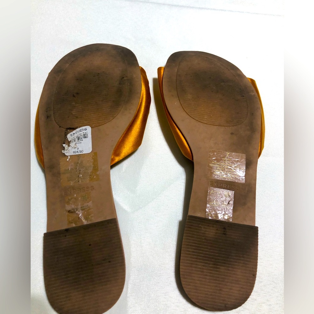 Express slides - Picture 4 of 4